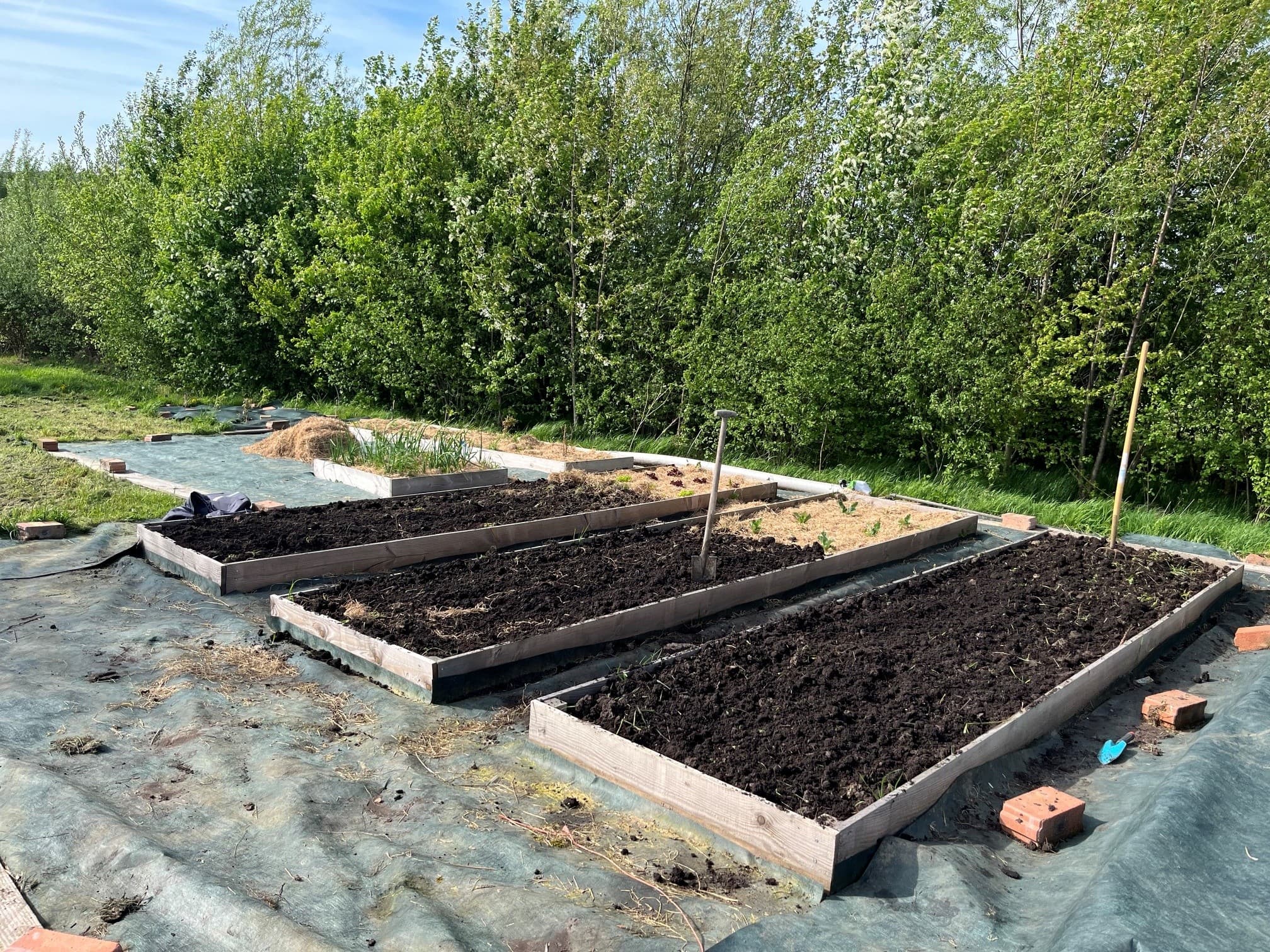 Moestuinbakken met verse, donkere aarde op Hoeve 1700
